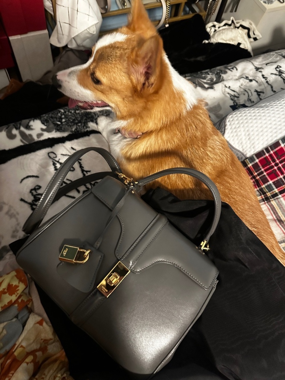 CELINE Women's Satinated smooth Calfskin Leather Bag (Corgi not included)